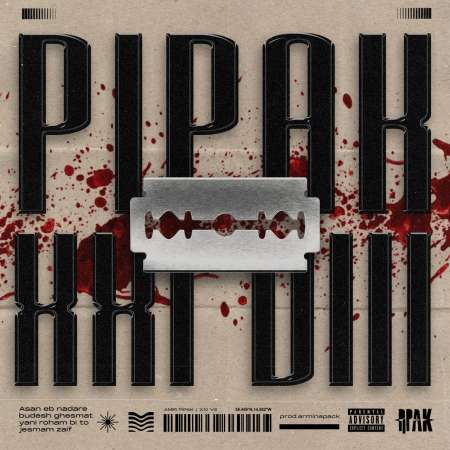 Amir PiPak – XXI VIII